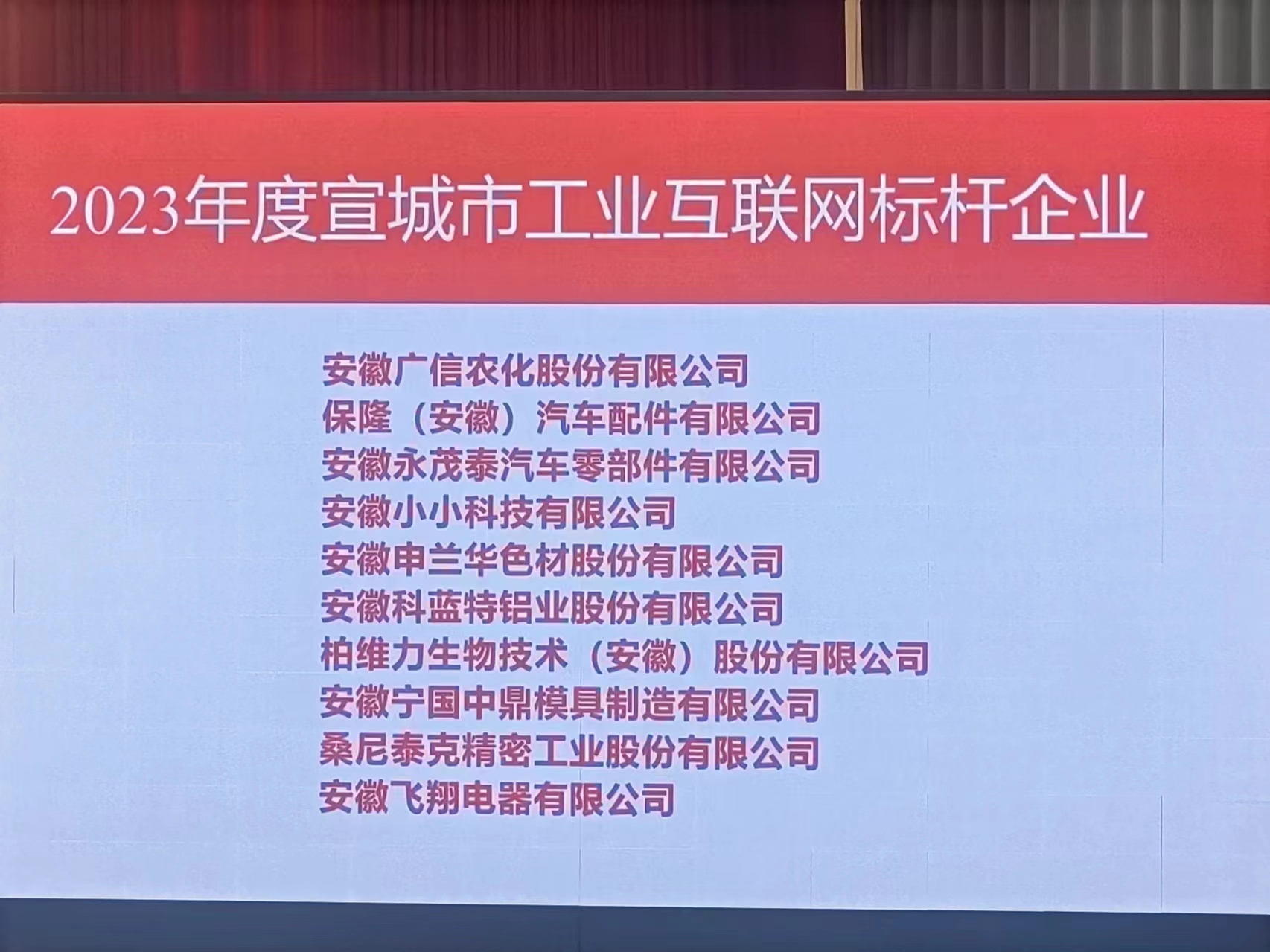 新春佳節(jié)捷報(bào)頻傳 甲辰龍年再創(chuàng)佳績(jī)(圖4) 20240219全市民營(yíng)經(jīng)濟(jì)發(fā)展大會(huì) (9).jpg